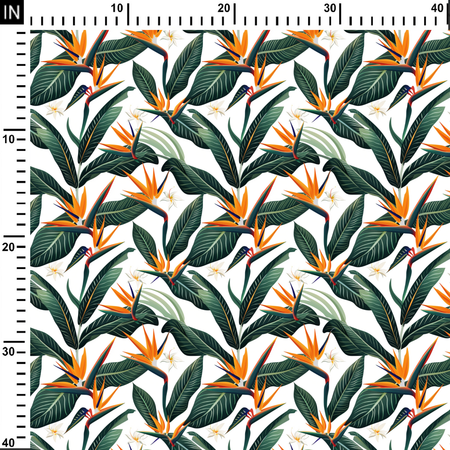 birds of paradise flower
birds of paradise bouquet
large birds of paradise plant
birds of paradise flower arrangement
bird of paradise near me
flower
forever flowers
next day flowers
birthday flowers
flower arrangements
black roses
valentine's day flowers
valentines flowers
blue roses
forever rose
pink lily
christmas flowers
wedding flowers
white roses
pink roses
bulk flowers
rose petals
sunflowers
digital printed fabric
digi print
digital print
printed fabric
fabric
fabrica