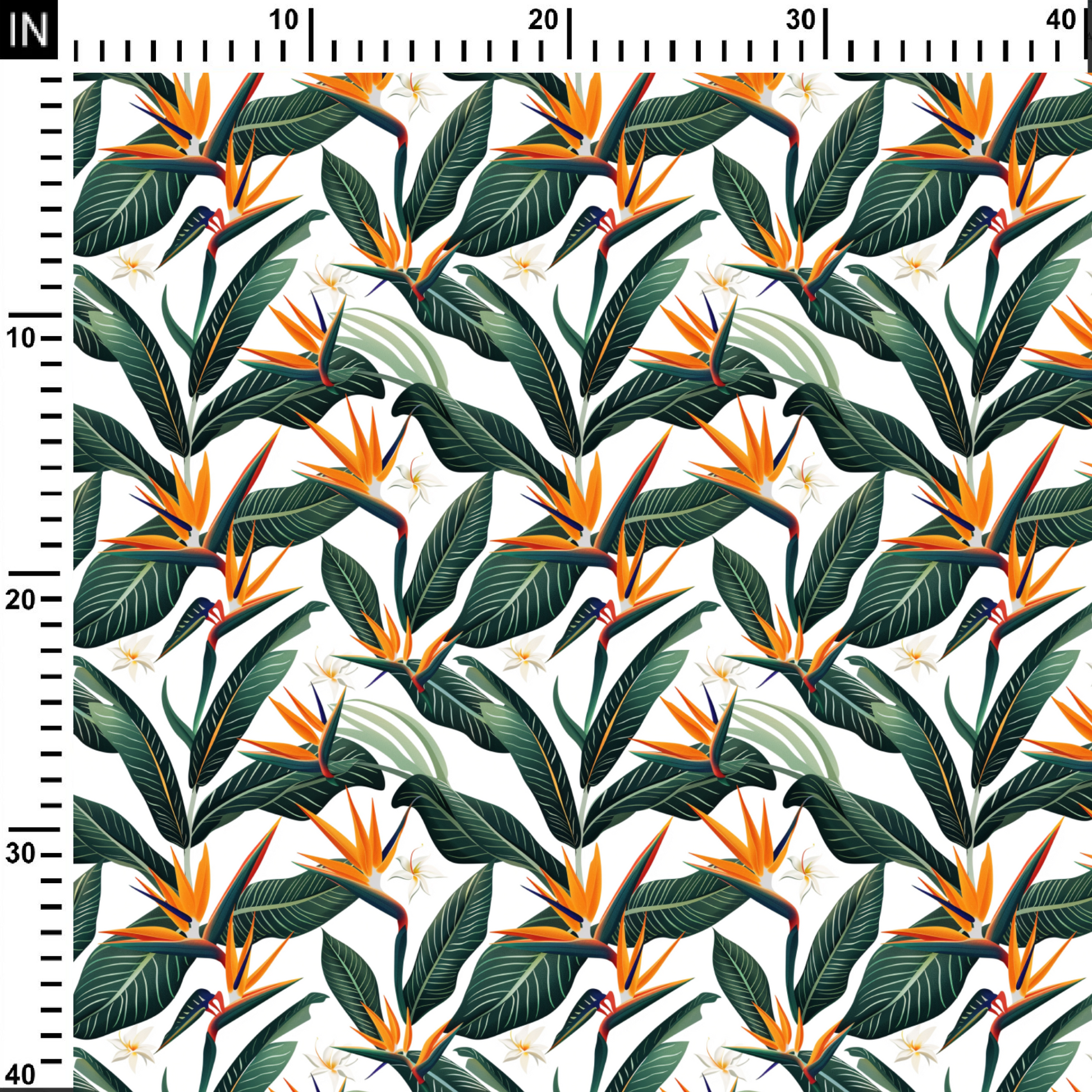 birds of paradise flower
birds of paradise bouquet
large birds of paradise plant
birds of paradise flower arrangement
bird of paradise near me
flower
forever flowers
next day flowers
birthday flowers
flower arrangements
black roses
valentine's day flowers
valentines flowers
blue roses
forever rose
pink lily
christmas flowers
wedding flowers
white roses
pink roses
bulk flowers
rose petals
sunflowers
digital printed fabric
digi print
digital print
printed fabric
fabric
fabrica