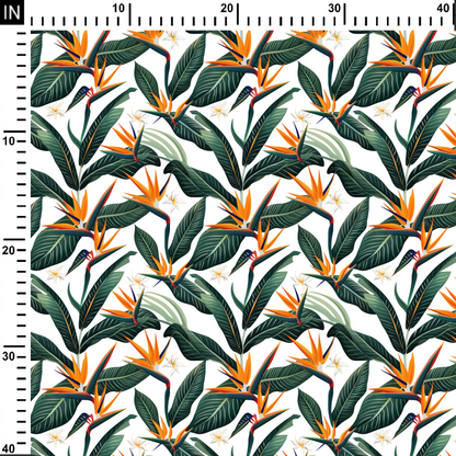 birds of paradise flower
birds of paradise bouquet
large birds of paradise plant
birds of paradise flower arrangement
bird of paradise near me
flower
forever flowers
next day flowers
birthday flowers
flower arrangements
black roses
valentine's day flowers
valentines flowers
blue roses
forever rose
pink lily
christmas flowers
wedding flowers
white roses
pink roses
bulk flowers
rose petals
sunflowers
digital printed fabric
digi print
digital print
printed fabric
fabric
fabrica
